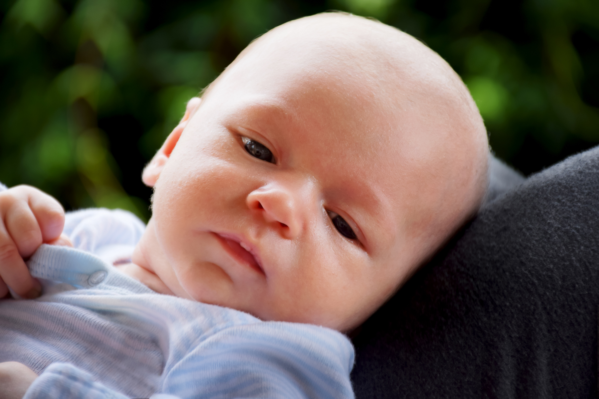 First Milestone Baby Portrait